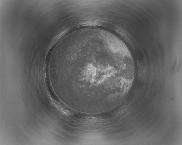 X0000056340486200509091534