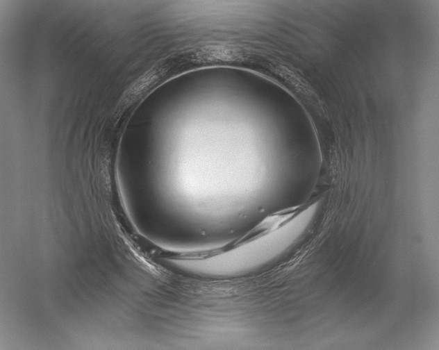 X0000056340489200509091534