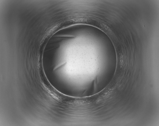 X0000056340490200509091534
