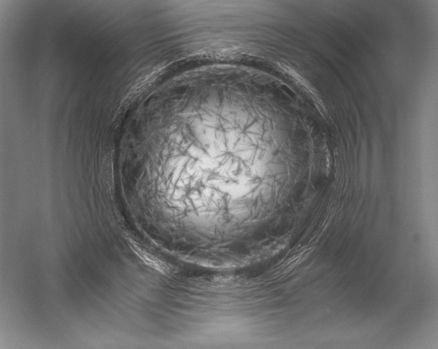 X0000056340493200509091534