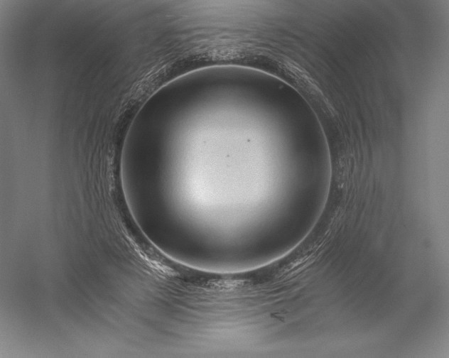 X0000056340497200509091534