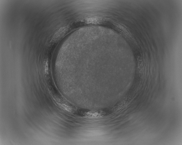 X0000056340502200509091534