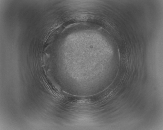 X0000056340504200509091534