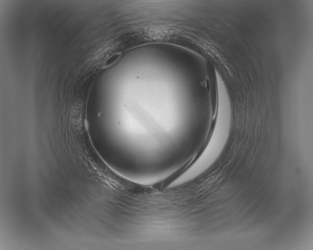 X0000056340505200509091534