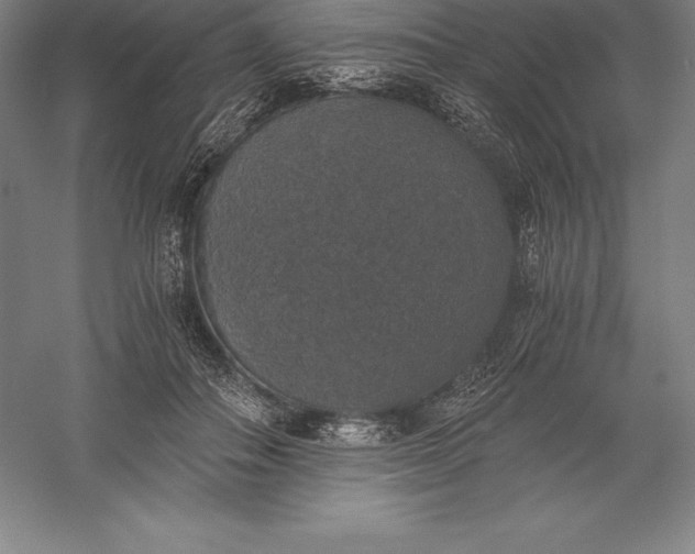 X0000056340506200509091534