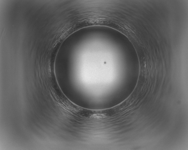 X0000056340508200509091534