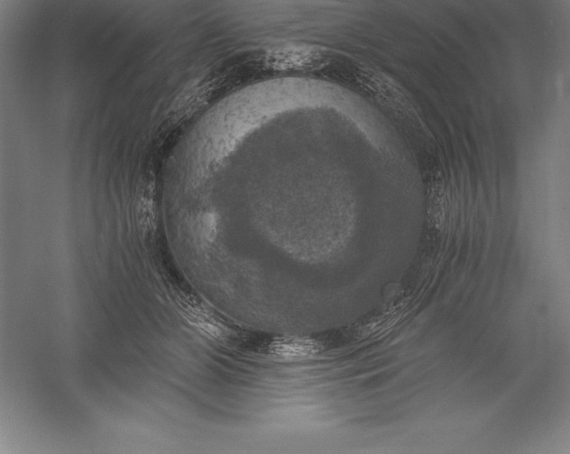 X0000056340510200509091534