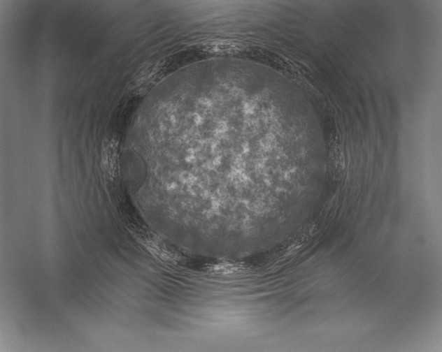 X0000056340511200509091534