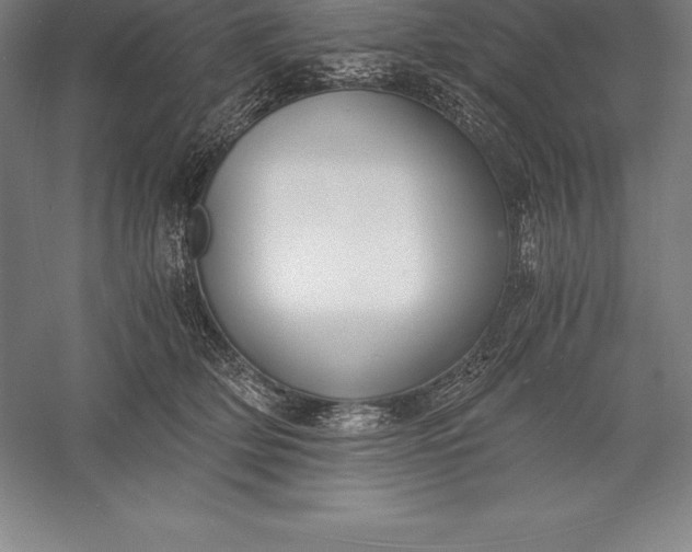 X0000056340514200509091533