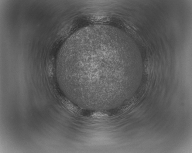 X0000056340515200509091533