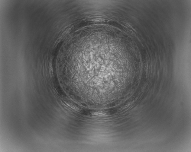 X0000056340516200509091533