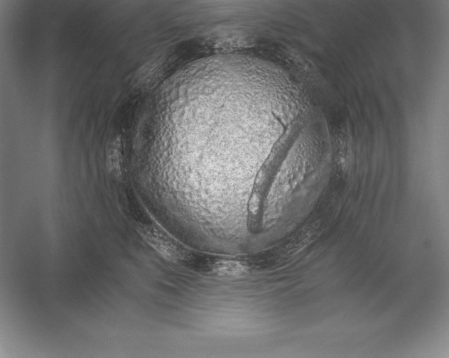X0000056340519200509091533