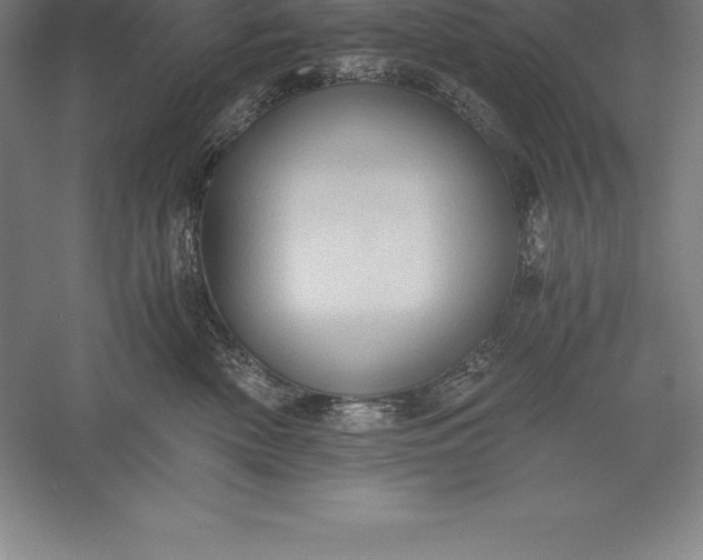 X0000056340522200509091533