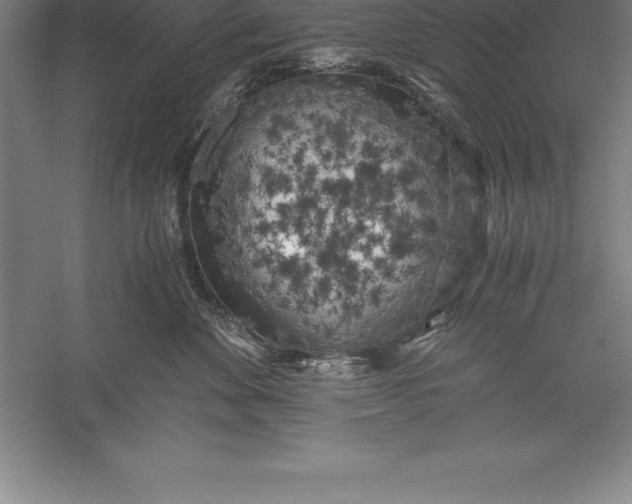 X0000056340524200509091533