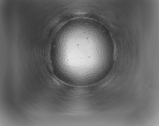 X0000056340528200509091533