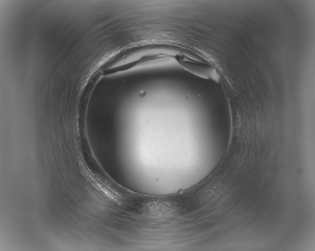 X0000056340535200509091533