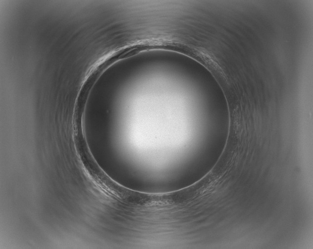 X0000056340536200509091533