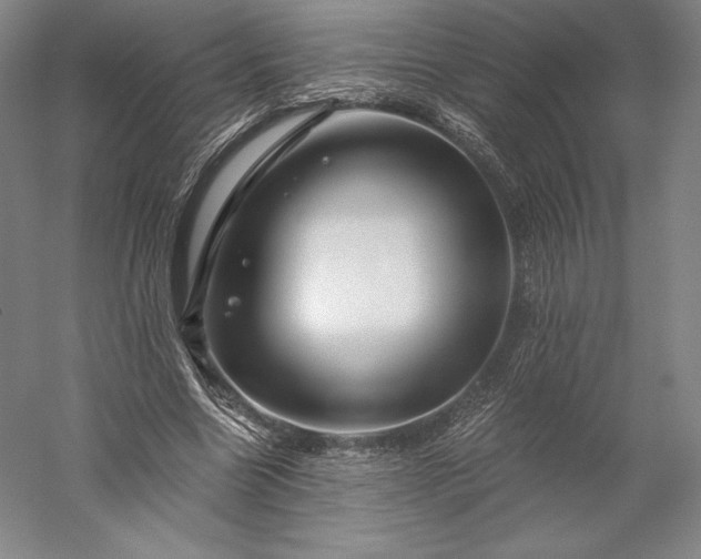 X0000056340538200509091533