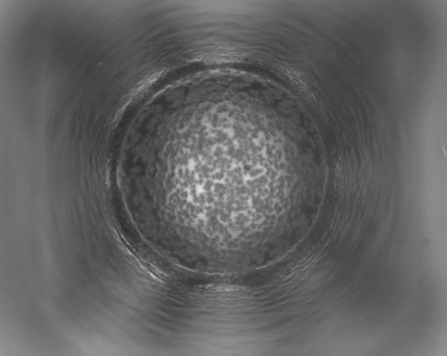 X0000056340539200509091533