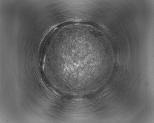 X0000056340540200509091533