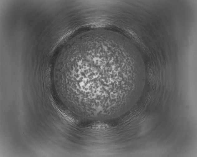 X0000056340543200509091533
