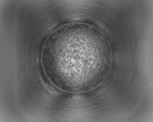 X0000056340546200509091533