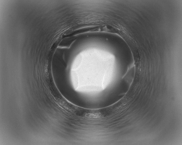 X0000056340548200509091533
