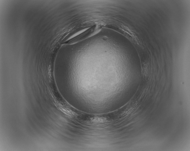 X0000056340549200509091533