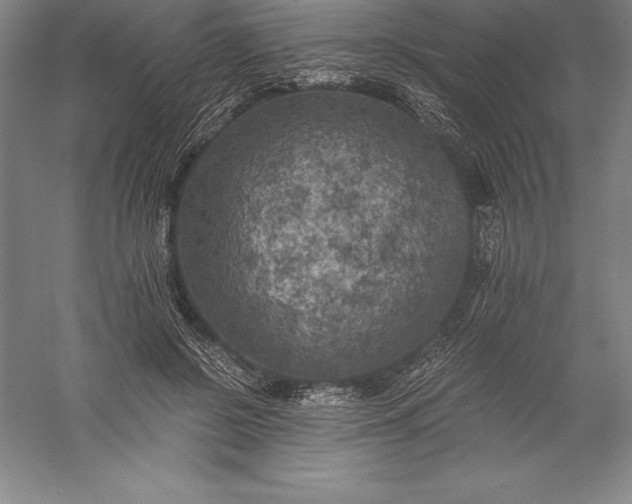 X0000056340550200509091533