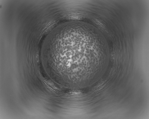 X0000056340552200509091533