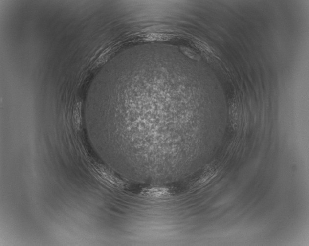 X0000056340554200509091533