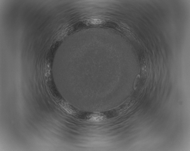 X0000056340555200509091533