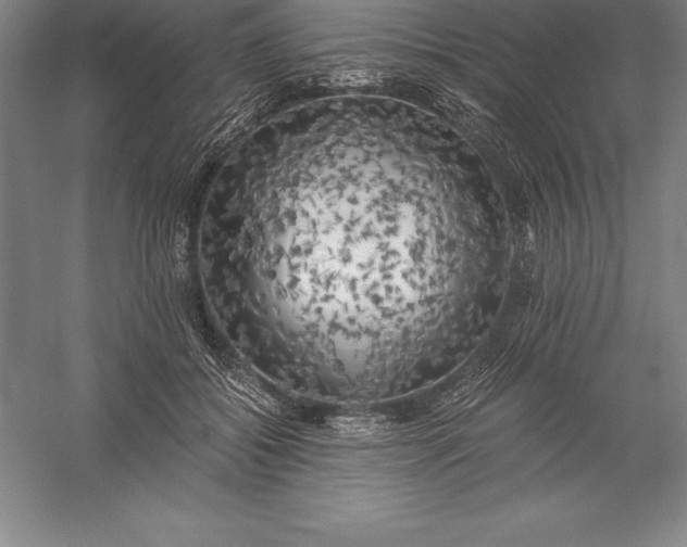 X0000056340556200509091533