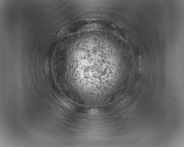 X0000056340562200509091533