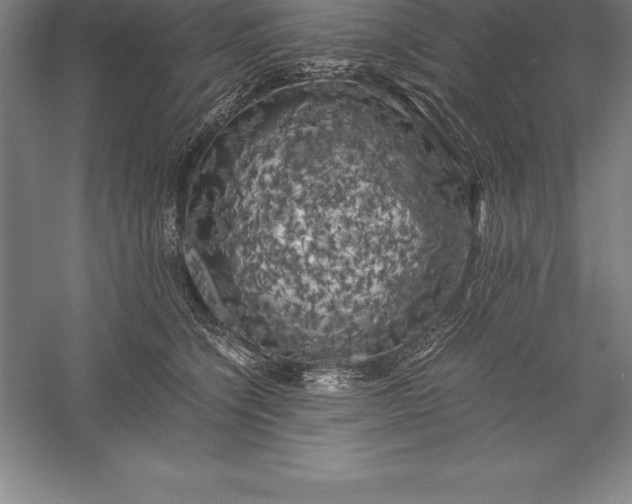 X0000056340564200509091533