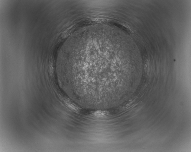 X0000056340566200509091533