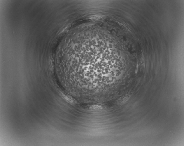 X0000056340572200509091533