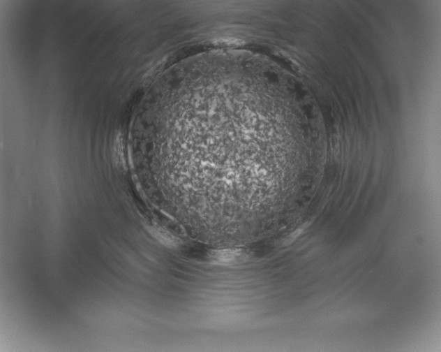 X0000056340575200509091533
