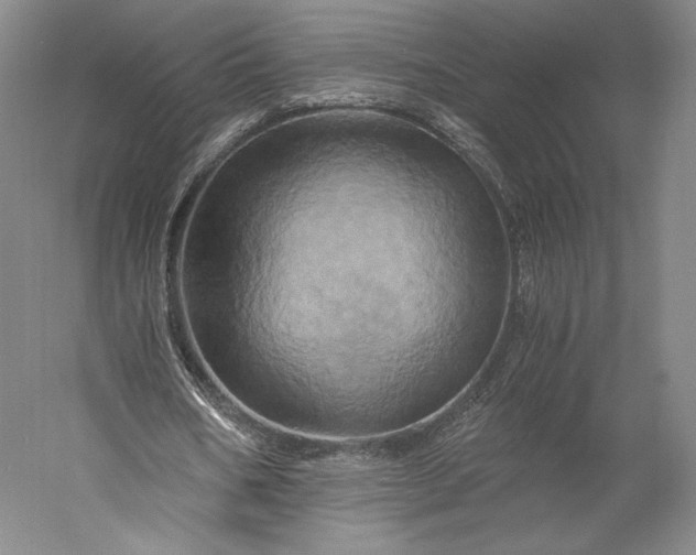 X0000056340578200509091532