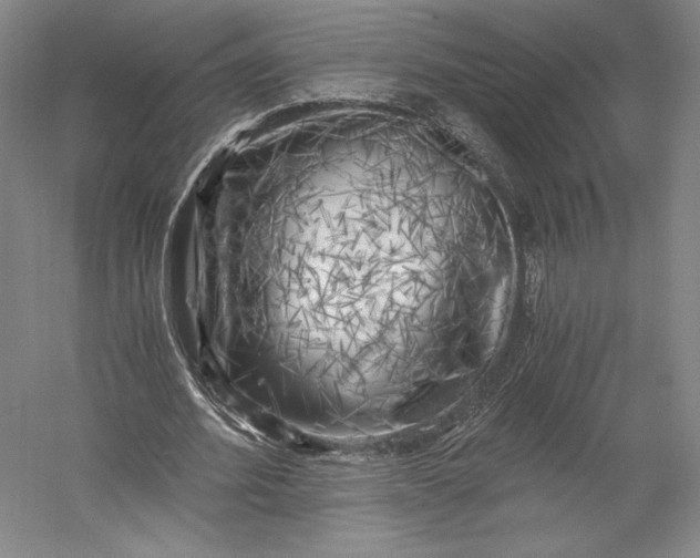 X0000056340580200509091532