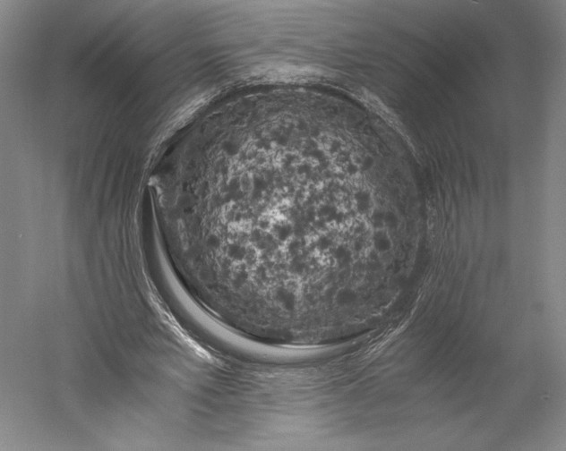X0000056340581200509091532