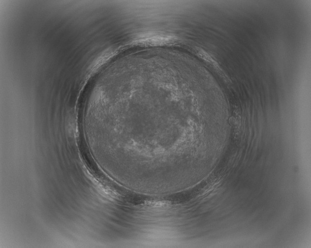 X0000056340582200509091532