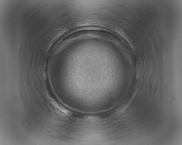 X0000056340585200509091532