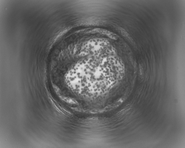 X0000056340588200509091532