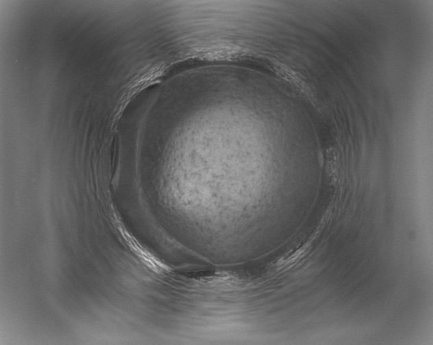X0000056340589200509091532