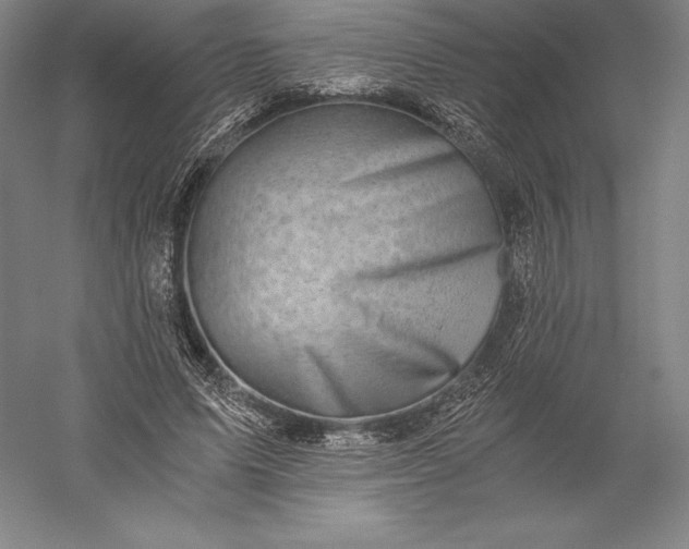 X0000056340591200509091532