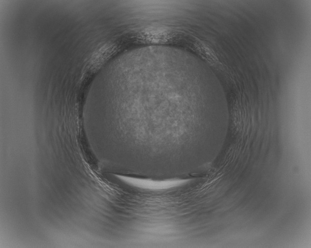 X0000056340594200509091532