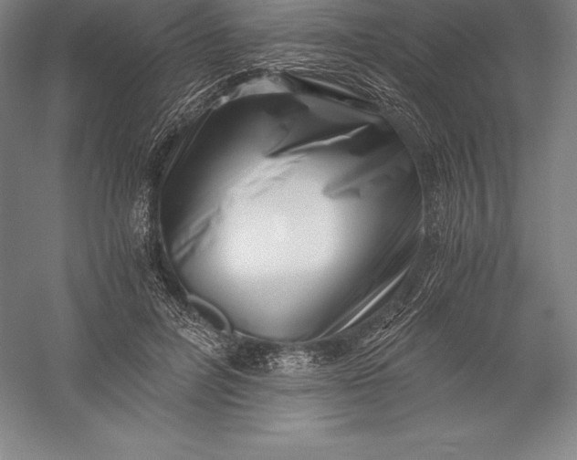 X0000056340600200509091532