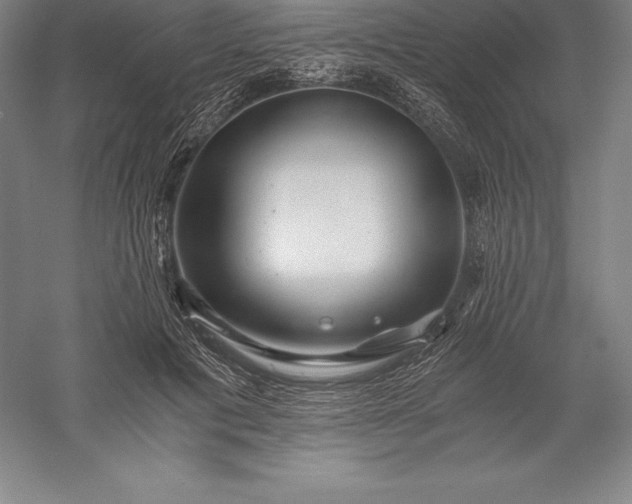 X0000056340601200509091532