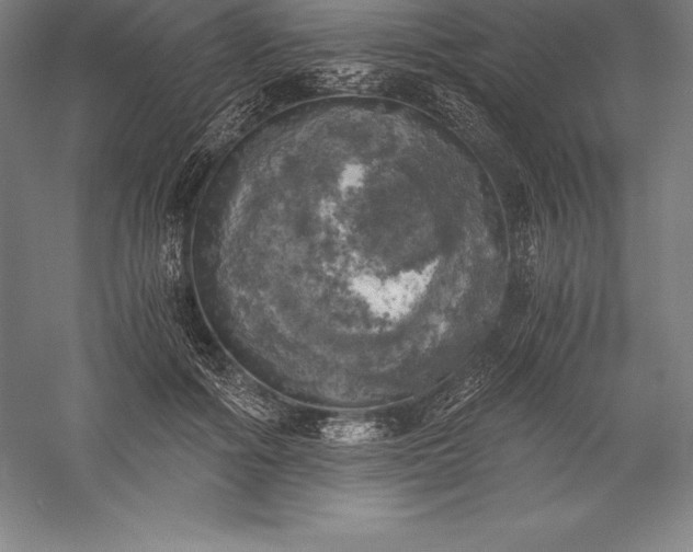 X0000056340602200509091532
